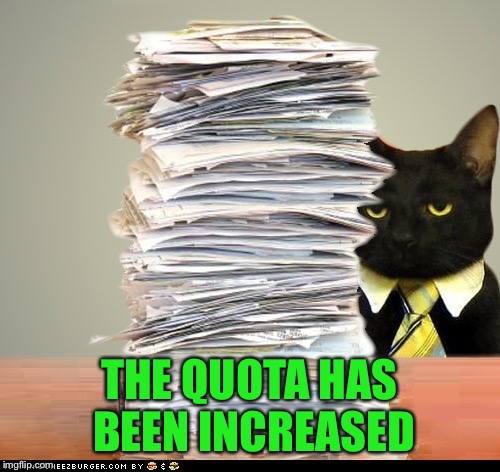 Business Cat | THE QUOTA HAS BEEN INCREASED | image tagged in business cat | made w/ Imgflip meme maker