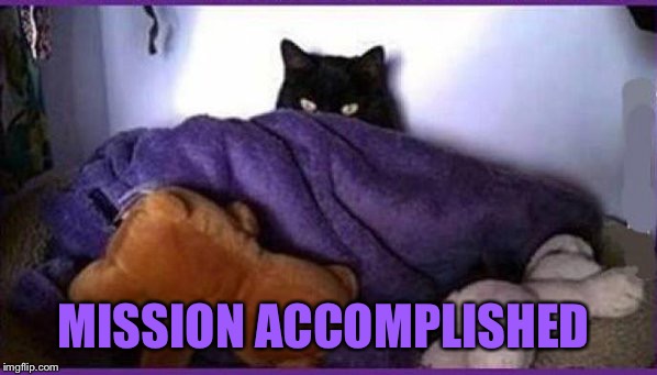 making plans | MISSION ACCOMPLISHED | image tagged in making plans | made w/ Imgflip meme maker