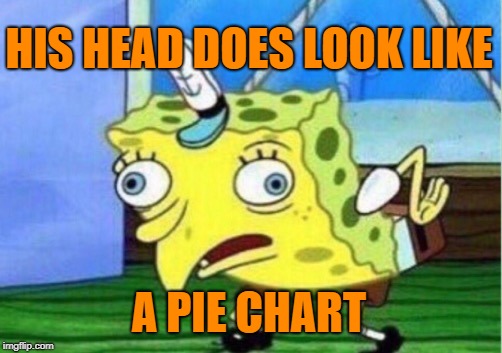 Mocking Spongebob Meme | HIS HEAD DOES LOOK LIKE A PIE CHART | image tagged in memes,mocking spongebob | made w/ Imgflip meme maker