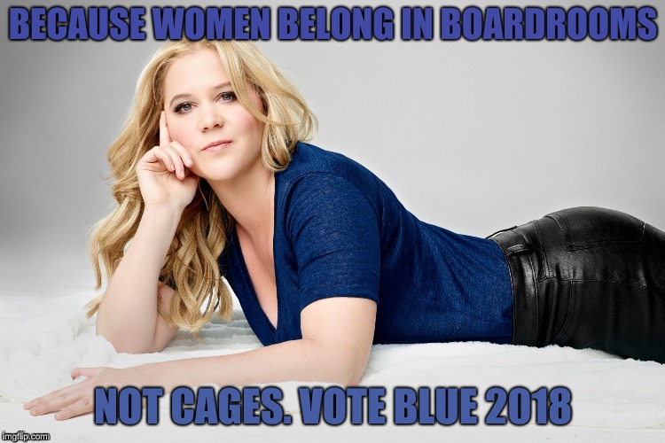 Amy Schumer | BECAUSE WOMEN BELONG IN BOARDROOMS; NOT CAGES. VOTE BLUE 2018 | image tagged in amy schumer | made w/ Imgflip meme maker