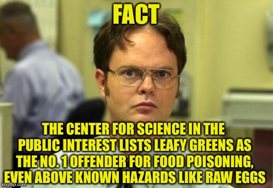 Dwight Schrute Meme | FACT THE CENTER FOR SCIENCE IN THE PUBLIC INTEREST LISTS LEAFY GREENS AS THE NO. 1 OFFENDER FOR FOOD POISONING, EVEN ABOVE KNOWN HAZARDS LIK | image tagged in memes,dwight schrute | made w/ Imgflip meme maker