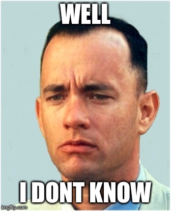 forrest gump | WELL; I DONT KNOW | image tagged in forrest gump | made w/ Imgflip meme maker