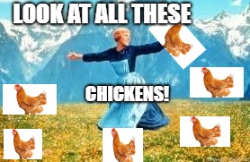 Look At All These | LOOK AT ALL THESE; CHICKENS! | image tagged in memes,look at all these | made w/ Imgflip meme maker