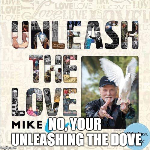 NO, YOUR UNLEASHING THE DOVE | image tagged in puns | made w/ Imgflip meme maker