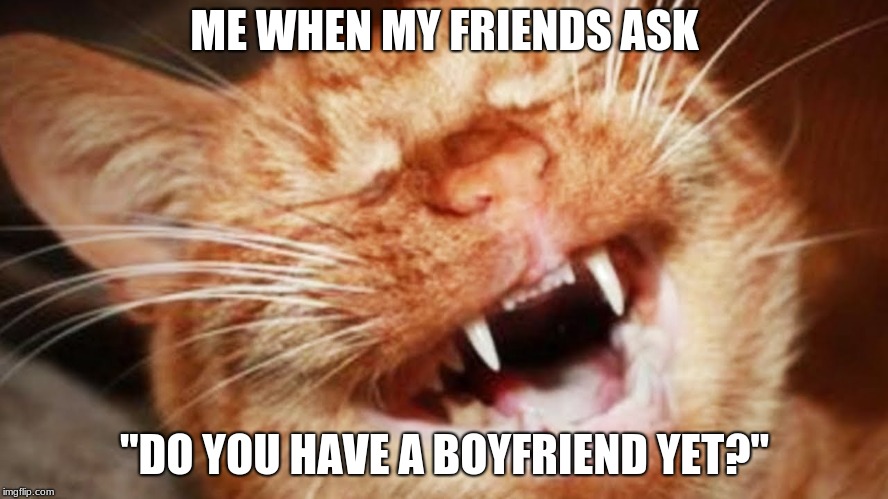ME WHEN MY FRIENDS ASK; "DO YOU HAVE A BOYFRIEND YET?" | image tagged in cats | made w/ Imgflip meme maker