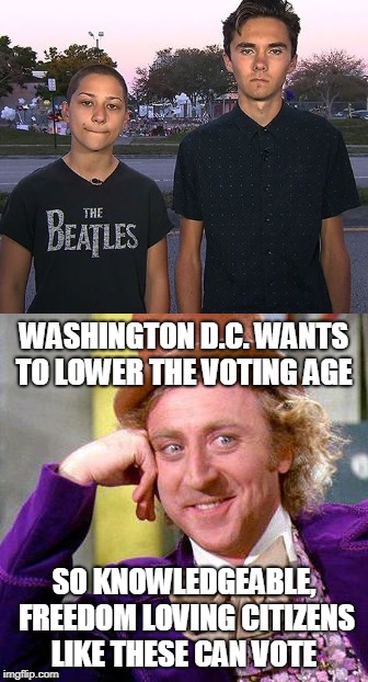 D.C. bill would let 16 year olds vote for president (can you say "desperation"?)  | WASHINGTON D.C. WANTS TO LOWER THE VOTING AGE; SO KNOWLEDGEABLE, FREEDOM LOVING CITIZENS LIKE THESE CAN VOTE | image tagged in parkland,sarcastic wonka,teenagers,desperate,second amendment,memes | made w/ Imgflip meme maker