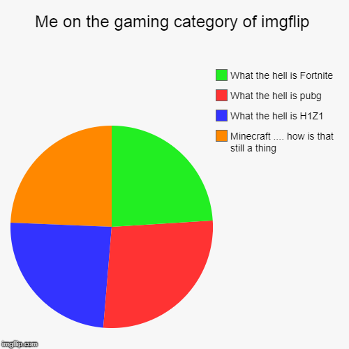 Me on the gaming category of imgflip | Minecraft .... how is that still a thing, What the hell is H1Z1, What the hell is pubg, What the hell | image tagged in funny,pie charts | made w/ Imgflip chart maker