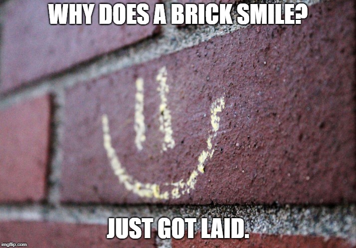 It is Good to be a Brick Layer | WHY DOES A BRICK SMILE? JUST GOT LAID. | image tagged in brick,another brick in the wall,sexy | made w/ Imgflip meme maker