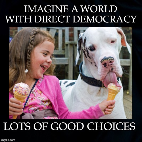 Any Flavor We Want | IMAGINE A WORLD WITH DIRECT DEMOCRACY; LOTS OF GOOD CHOICES | image tagged in imagine,world,direct democracy,good choices,progressive,ice cream | made w/ Imgflip meme maker