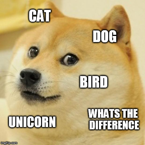 Doge | CAT; DOG; BIRD; WHATS THE DIFFERENCE; UNICORN | image tagged in memes,doge | made w/ Imgflip meme maker