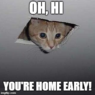 Ceiling Cat Meme | OH, HI; YOU'RE HOME EARLY! | image tagged in memes,ceiling cat | made w/ Imgflip meme maker