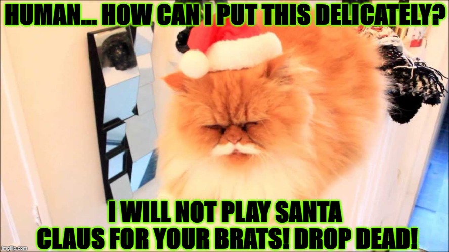 SANTA CAT | HUMAN... HOW CAN I PUT THIS DELICATELY? I WILL NOT PLAY SANTA CLAUS FOR YOUR BRATS! DROP DEAD! | image tagged in santa cat | made w/ Imgflip meme maker