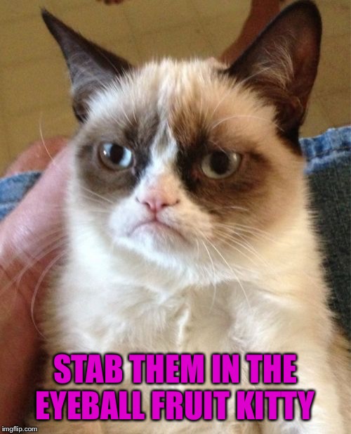 Grumpy Cat Meme | STAB THEM IN THE EYEBALL FRUIT KITTY | image tagged in memes,grumpy cat | made w/ Imgflip meme maker