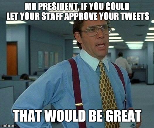 That Would Be Great | MR PRESIDENT, IF YOU COULD LET YOUR STAFF APPROVE YOUR TWEETS; THAT WOULD BE GREAT | image tagged in memes,that would be great | made w/ Imgflip meme maker