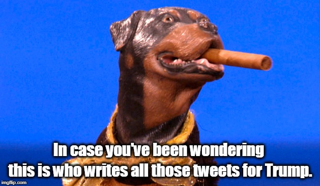 Real kindergarten-level stuff. | In case you've been wondering; this is who writes all those tweets for Trump. | image tagged in trump,triumph the insult comic dog,tweets,twitter | made w/ Imgflip meme maker