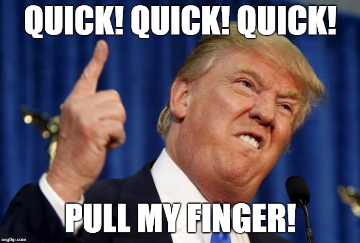 Executive Order | QUICK! QUICK! QUICK! PULL MY FINGER! | image tagged in trump,potus,executive order,pull my finger,kowulz | made w/ Imgflip meme maker