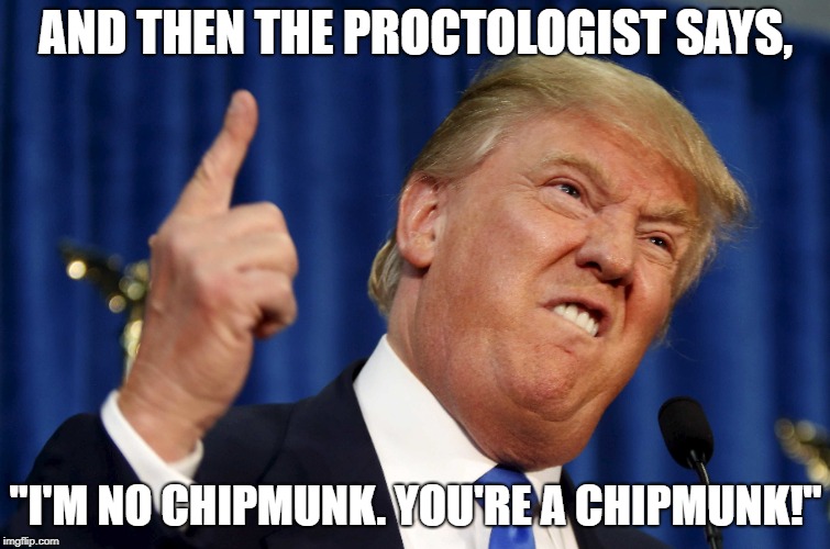 Perfect Caption! | AND THEN THE PROCTOLOGIST SAYS, "I'M NO CHIPMUNK. YOU'RE A CHIPMUNK!" | image tagged in trump,caption this,potus,kowulz,proctologist | made w/ Imgflip meme maker