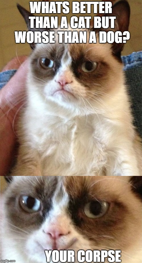 Grumpy Cat has limited humour | WHATS BETTER THAN A CAT BUT WORSE THAN A DOG? YOUR CORPSE | image tagged in grumpy cat | made w/ Imgflip meme maker