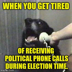 Doggone it! Stop the madness! | WHEN YOU GET TIRED; OF RECEIVING POLITICAL PHONE CALLS DURING ELECTION TIME. | image tagged in dog telephone,memes,elections,phone frustration | made w/ Imgflip meme maker