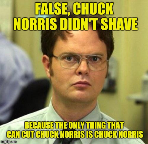 False | FALSE, CHUCK NORRIS DIDN'T SHAVE BECAUSE THE ONLY THING THAT CAN CUT CHUCK NORRIS IS CHUCK NORRIS | image tagged in false | made w/ Imgflip meme maker