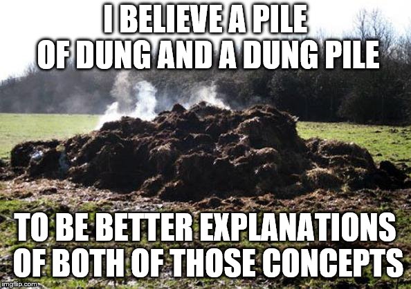 Steaming pile of shit | I BELIEVE A PILE OF DUNG AND A DUNG PILE TO BE BETTER EXPLANATIONS OF BOTH OF THOSE CONCEPTS | image tagged in steaming pile of shit | made w/ Imgflip meme maker