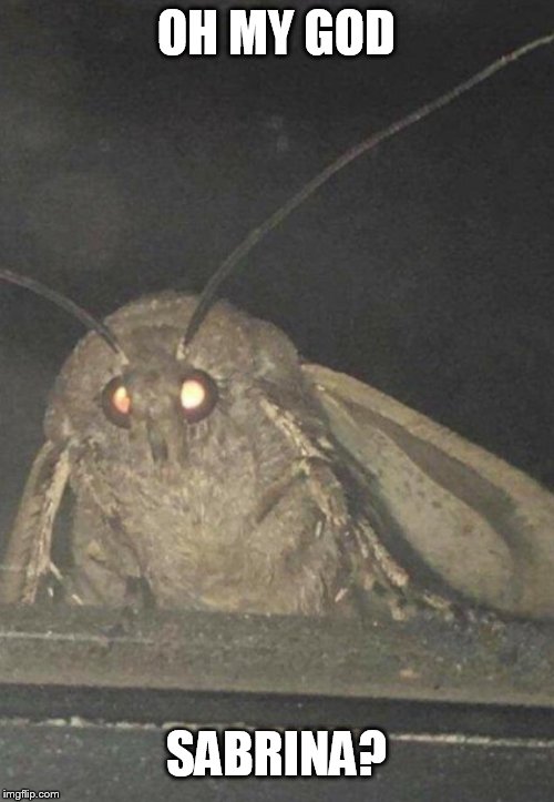 Moth | OH MY GOD SABRINA? | image tagged in moth | made w/ Imgflip meme maker