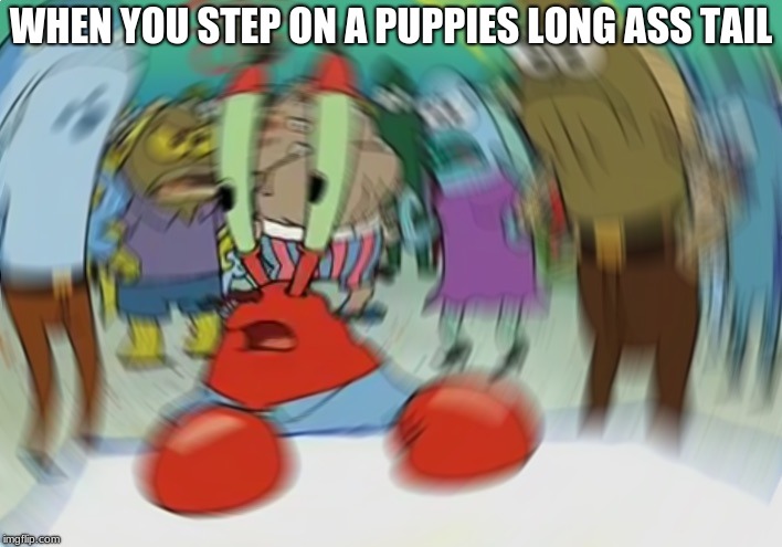 ANIMAL CRUELTY MOTHA FORKER XD | WHEN YOU STEP ON A PUPPIES LONG ASS TAIL | image tagged in memes,mr krabs blur meme | made w/ Imgflip meme maker