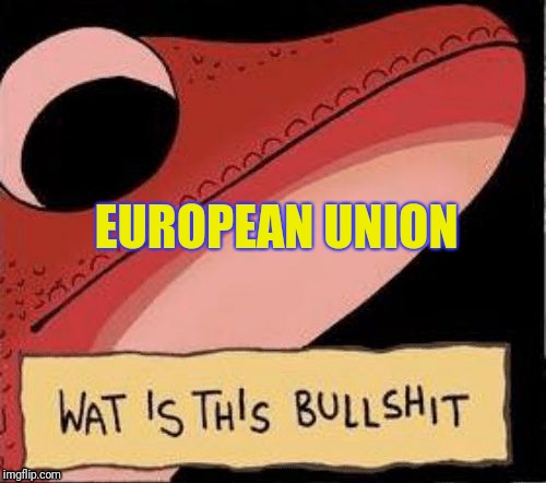 EUROPEAN UNION | image tagged in eu | made w/ Imgflip meme maker