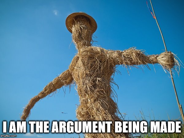 Strawman | I AM THE ARGUMENT BEING MADE | image tagged in strawman | made w/ Imgflip meme maker