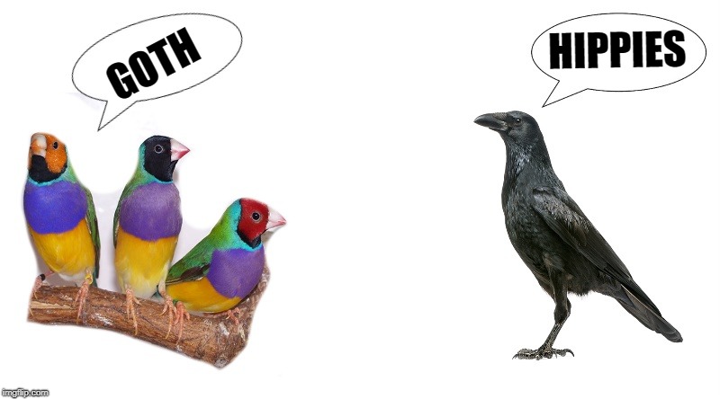 bird prejudice  | HIPPIES; GOTH | image tagged in hippies,goth | made w/ Imgflip meme maker