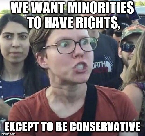 Triggered feminist | WE WANT MINORITIES TO HAVE RIGHTS, EXCEPT TO BE CONSERVATIVE | image tagged in triggered feminist | made w/ Imgflip meme maker