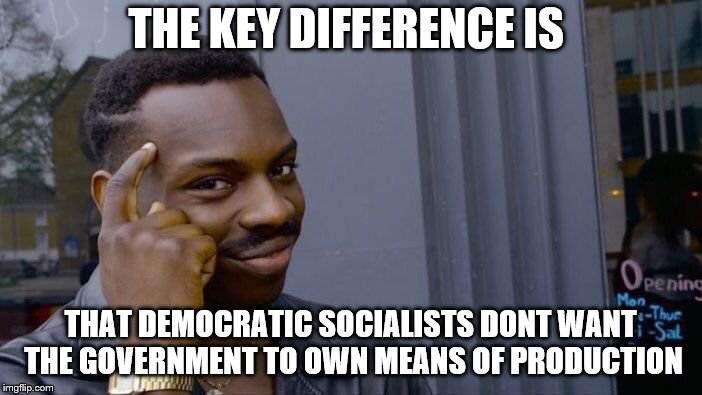 Roll Safe Think About It Meme | THE KEY DIFFERENCE IS THAT DEMOCRATIC SOCIALISTS DONT WANT THE GOVERNMENT TO OWN MEANS OF PRODUCTION | image tagged in memes,roll safe think about it | made w/ Imgflip meme maker