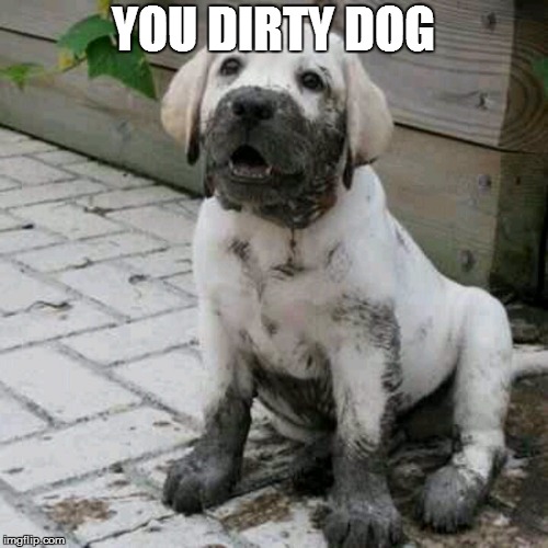 Dirty Dog | YOU DIRTY DOG | image tagged in dirty dog | made w/ Imgflip meme maker