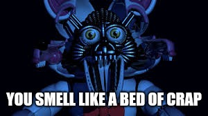 Funtime foxy jumpscare fnaf sister location | YOU SMELL LIKE A BED OF CRAP | image tagged in funtime foxy jumpscare fnaf sister location | made w/ Imgflip meme maker