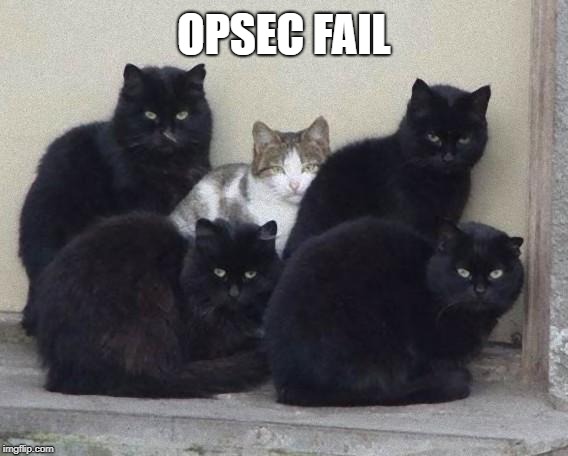 blackcats | OPSEC FAIL | image tagged in blackcats | made w/ Imgflip meme maker