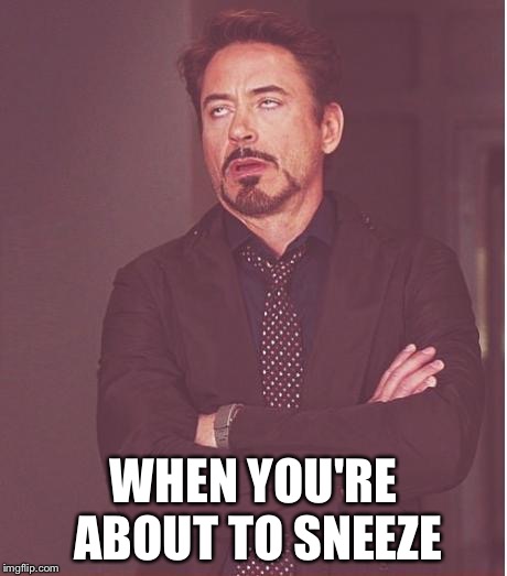 When you're about to sneeze | WHEN YOU'RE ABOUT TO SNEEZE | image tagged in memes,face you make robert downey jr,anti meme,anti,sneeze | made w/ Imgflip meme maker