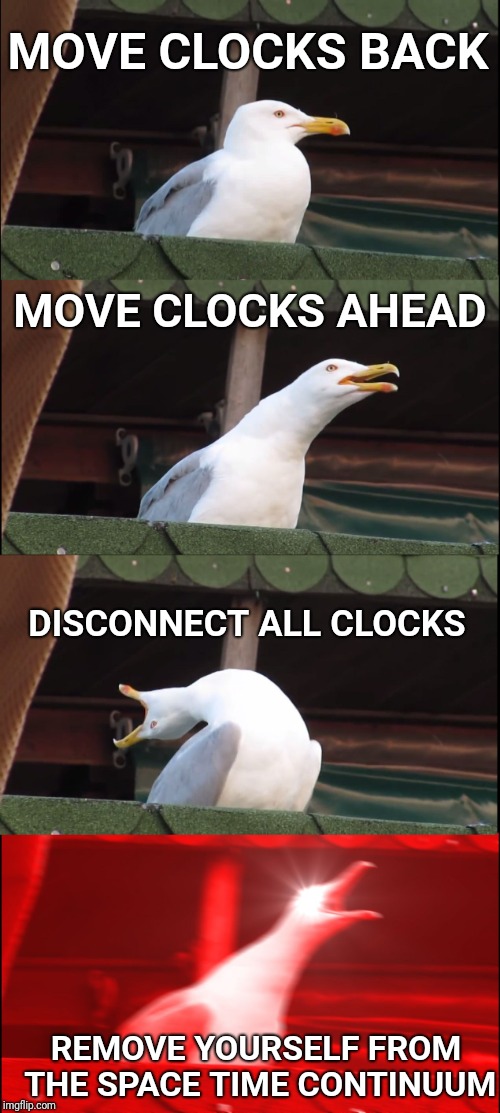 Inhaling Seagull Meme | MOVE CLOCKS BACK; MOVE CLOCKS AHEAD; DISCONNECT ALL CLOCKS; REMOVE YOURSELF FROM THE SPACE TIME CONTINUUM | image tagged in memes,inhaling seagull | made w/ Imgflip meme maker