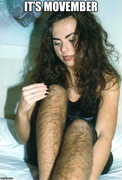 Hairy girl | IT’S MOVEMBER | image tagged in hairy girl | made w/ Imgflip meme maker