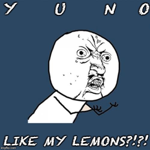 Y U No Meme | Y     U     N   O LIKE MY LEMONS?!?! | image tagged in memes,y u no | made w/ Imgflip meme maker