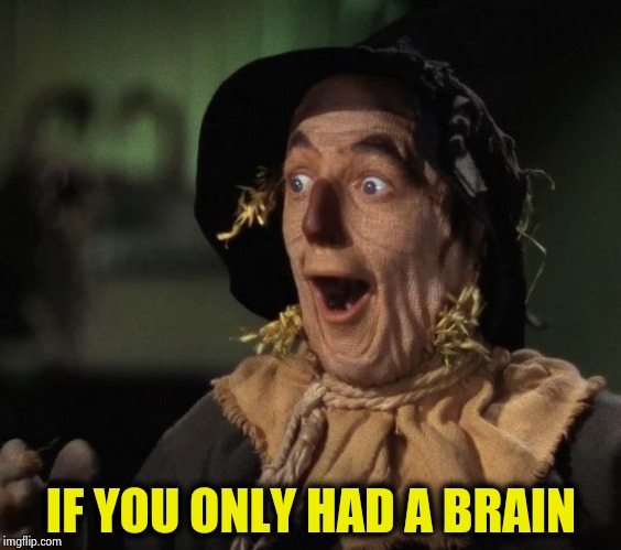 Straw Man - What a Great Idea | IF YOU ONLY HAD A BRAIN | image tagged in straw man - what a great idea | made w/ Imgflip meme maker