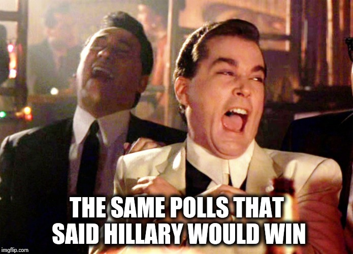 Good Fellas Hilarious Meme | THE SAME POLLS THAT SAID HILLARY WOULD WIN | image tagged in memes,good fellas hilarious | made w/ Imgflip meme maker