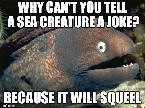 Bad Joke Eel | WHY CAN'T YOU TELL A SEA CREATURE A JOKE? BECAUSE IT WILL SQUEEL | image tagged in memes,bad joke eel | made w/ Imgflip meme maker