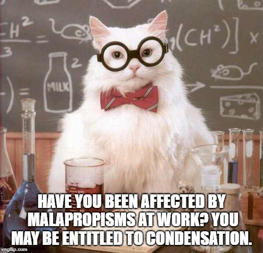 cat scientist | HAVE YOU BEEN AFFECTED BY MALAPROPISMS AT WORK? YOU MAY BE ENTITLED TO CONDENSATION. | image tagged in cat scientist | made w/ Imgflip meme maker