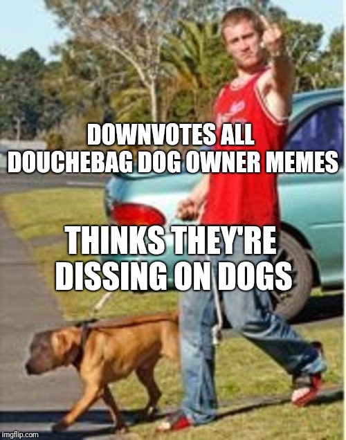 DOWNVOTES ALL DOUCHEBAG DOG OWNER MEMES THINKS THEY'RE DISSING ON DOGS | image tagged in dog owner douchebag | made w/ Imgflip meme maker