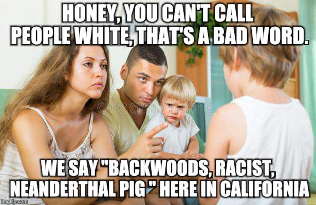 Correct Your Children | HONEY, YOU CAN'T CALL PEOPLE WHITE, THAT'S A BAD WORD. WE SAY "BACKWOODS, RACIST, NEANDERTHAL PIG " HERE IN CALIFORNIA | image tagged in memes,liberal logic,parenting | made w/ Imgflip meme maker