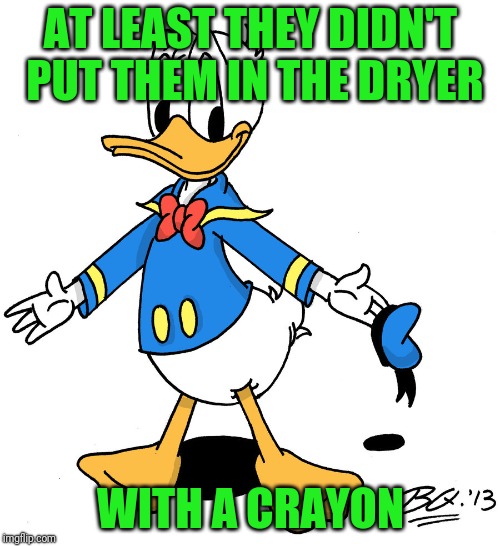 donald duck shrugs | AT LEAST THEY DIDN'T PUT THEM IN THE DRYER WITH A CRAYON | image tagged in donald duck shrugs | made w/ Imgflip meme maker