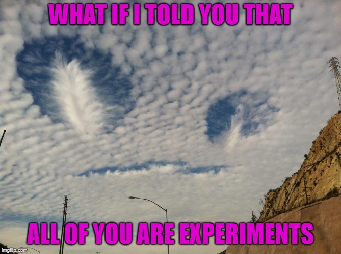 WHAT IF I TOLD YOU THAT ALL OF YOU ARE EXPERIMENTS | made w/ Imgflip meme maker
