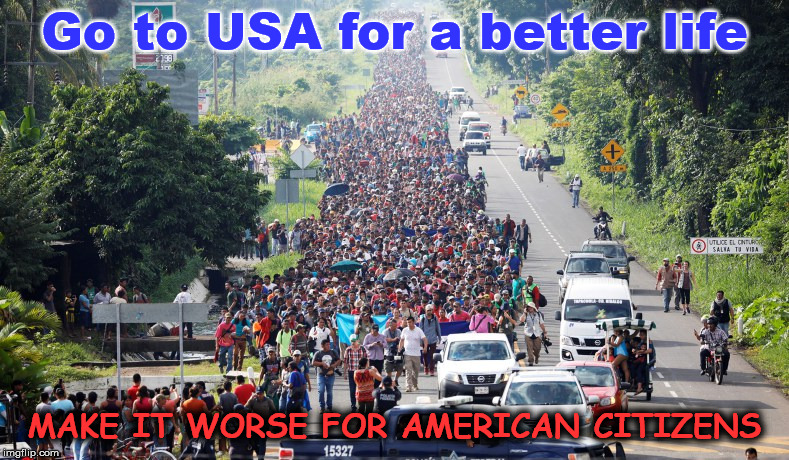 Import the 3rd world become the 3rd world! | Go to USA for a better life; MAKE IT WORSE FOR AMERICAN CITIZENS | image tagged in illegal aliens,squats,low iq,invaders,parasites | made w/ Imgflip meme maker