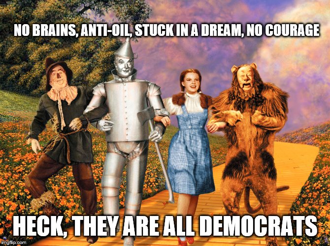 NO BRAINS, ANTI-OIL, STUCK IN A DREAM, NO COURAGE HECK, THEY ARE ALL DEMOCRATS | made w/ Imgflip meme maker