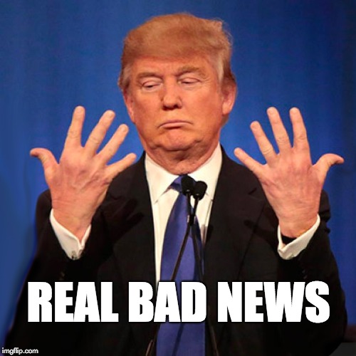 Trump is the real bad news. | REAL BAD NEWS | image tagged in trump,news,fakenews | made w/ Imgflip meme maker